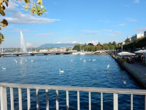 DSCN0452